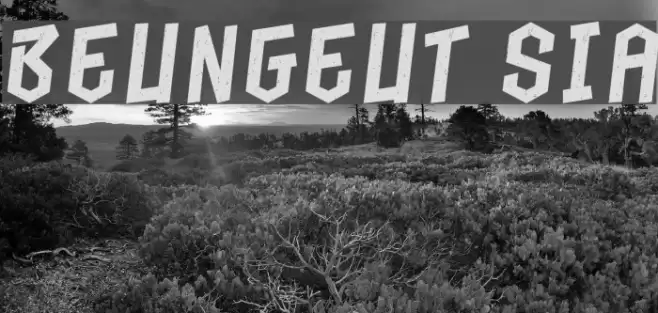 Beungeut Sia Font examples