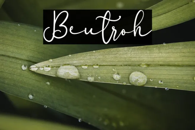 Beutroh Example 2