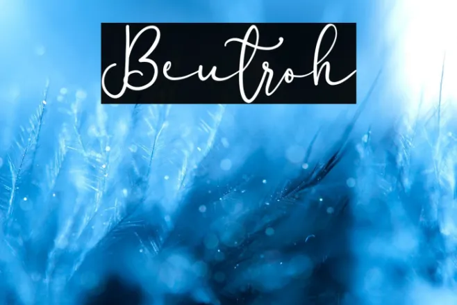 Beutroh Example 3