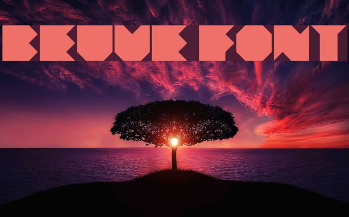 Beuve Font examples