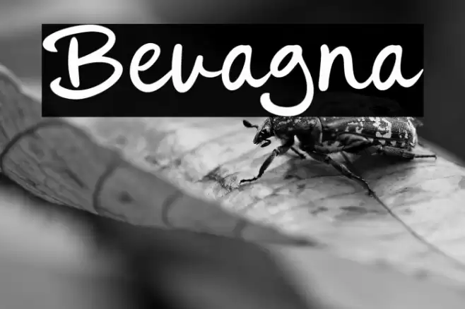Bevagna Font examples