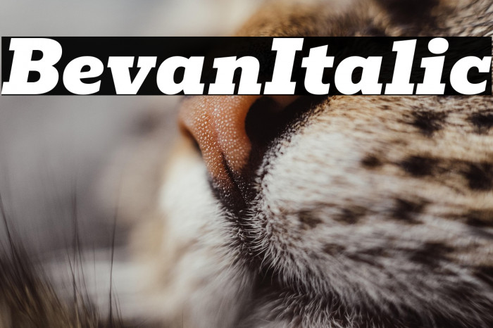 Bevan Italic Example 2