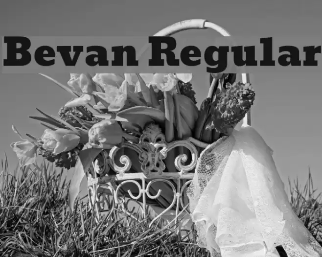 Bevan Regular Caratteri examples