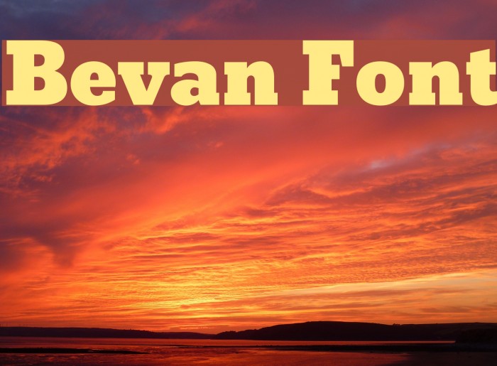 Bevan Fonte examples