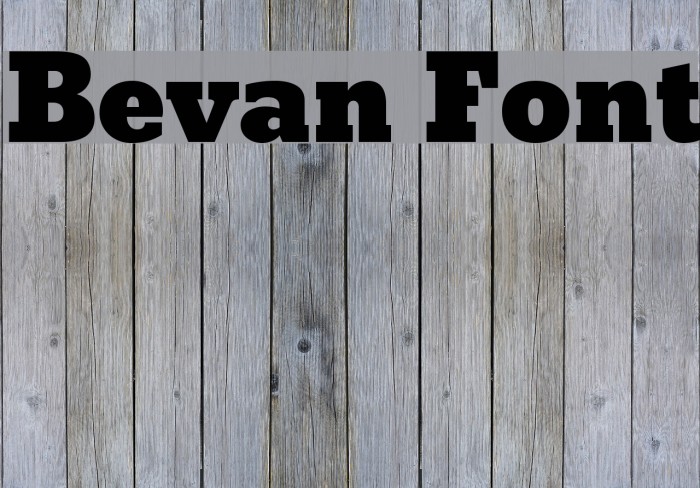 Bevan Fonte examples