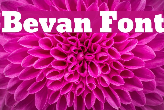 Bevan Fonte examples