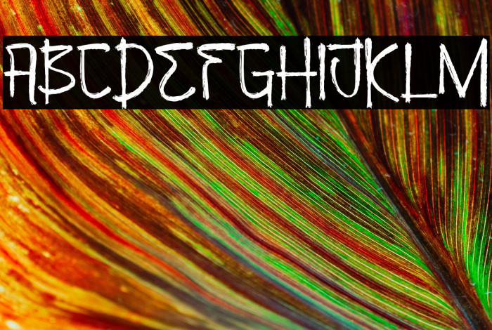 Beverly Switch Example 1