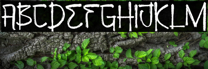 Beverly Switch Example 3