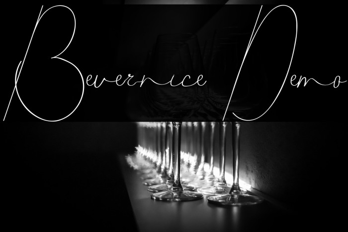 Bevernice Demo Example 3