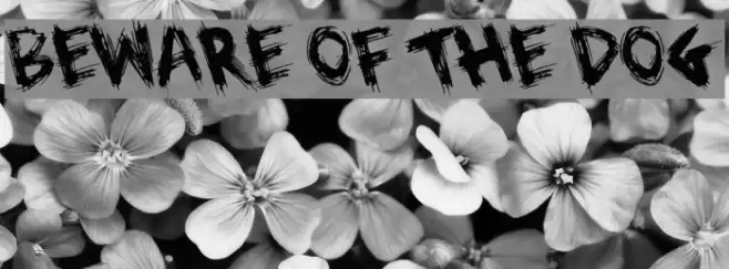 Beware of the Dog Font examples