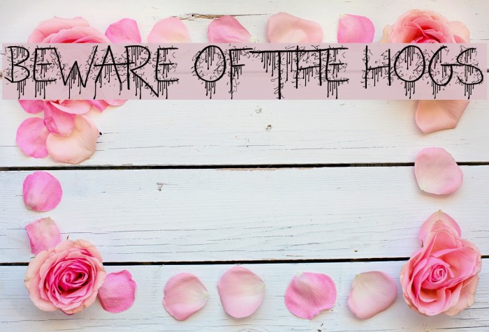 Beware of the Hogs Font examples