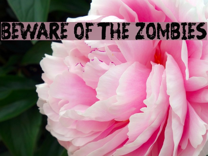 Beware of the Zombies Font examples