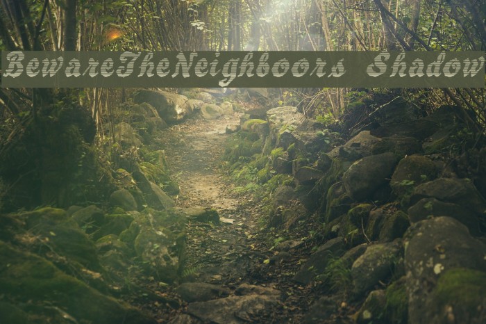 BewareTheNeighboors Shadow Example 2