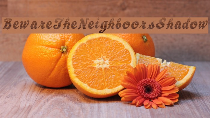 BewareTheNeighboorsShadow Example 3