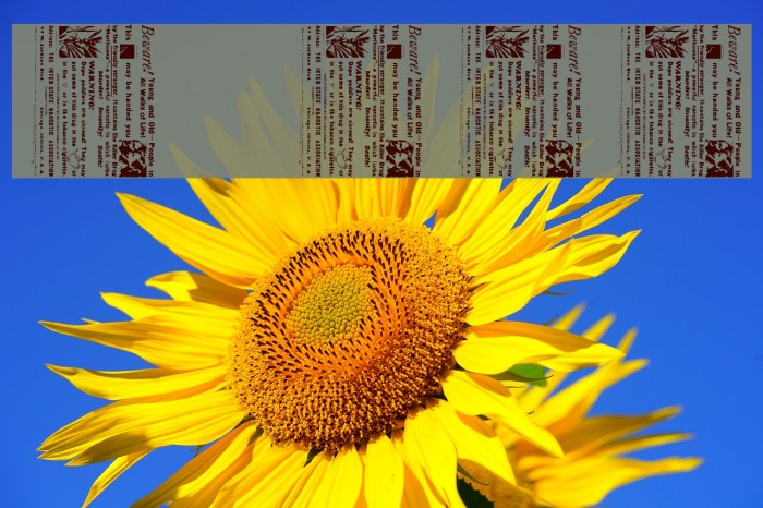 BewarethefriendlystrangerLandscape Font examples