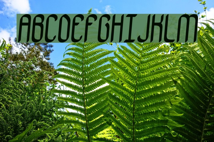 Bewilder BRK Font examples