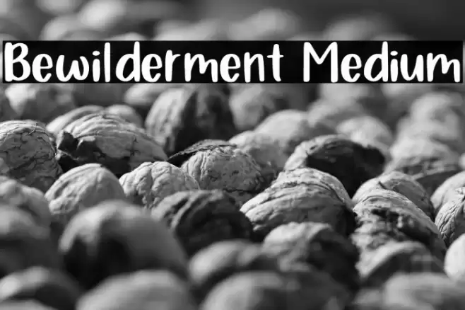 Bewilderment Medium Schriftart examples