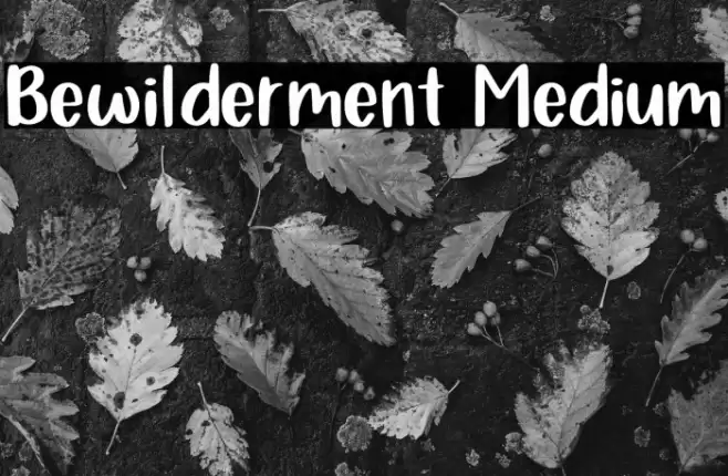 Bewilderment Medium Schriftart examples