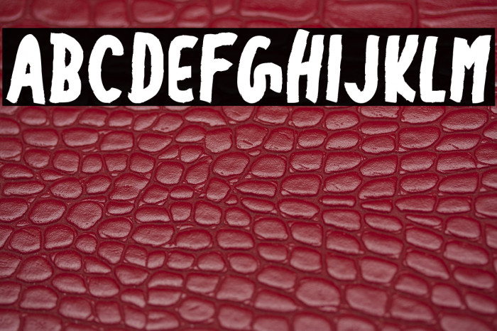 Bexirow - Personal Use Only Example 3