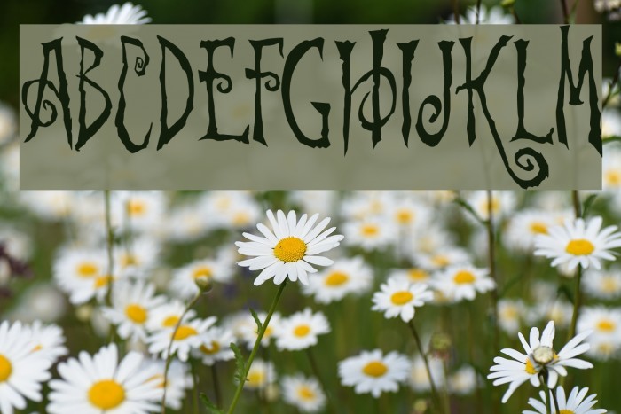 Beynkales Demo Example 2