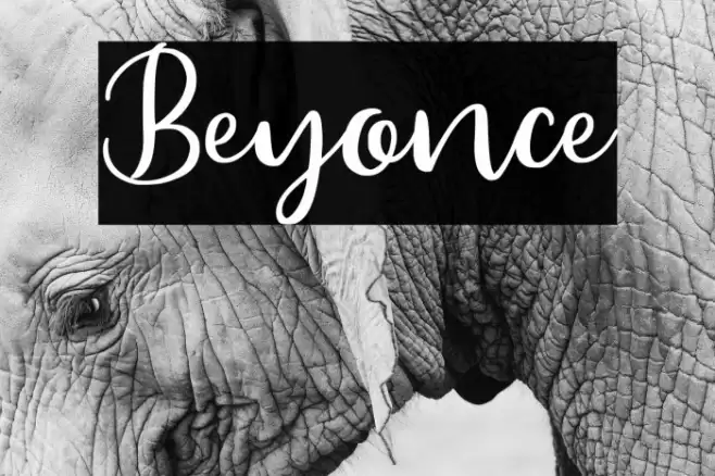 Beyonce Font examples