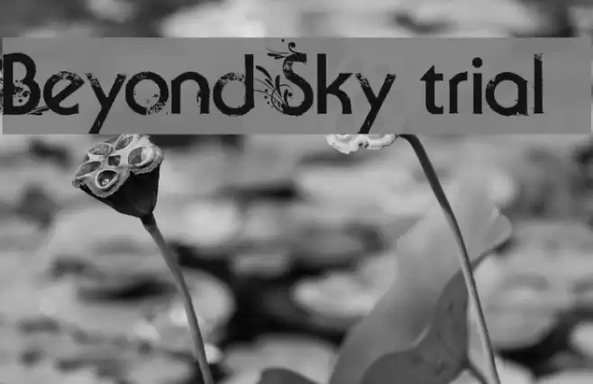 Beyond Sky trial Font examples