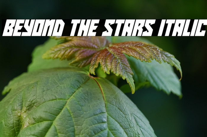 Beyond The Stars Italic Example 1