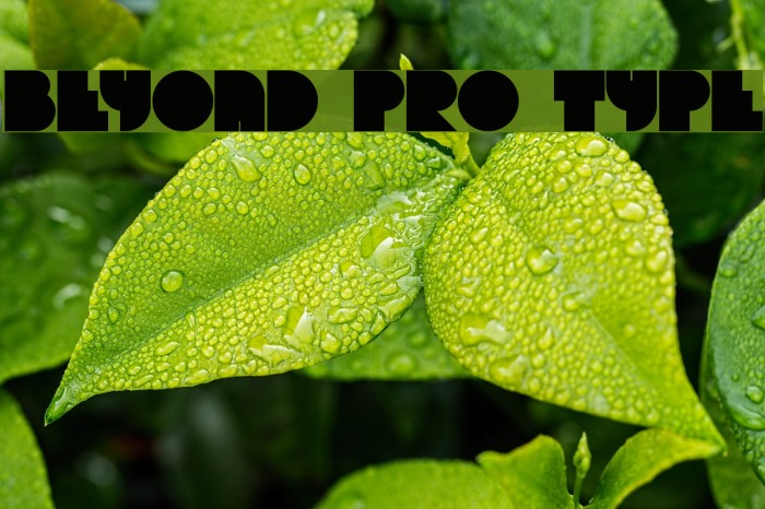 Beyond pro type Font examples