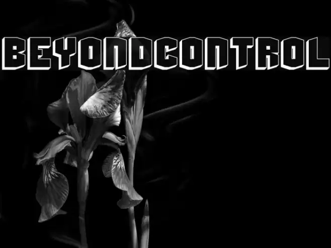 BeyondControl Шрифта examples