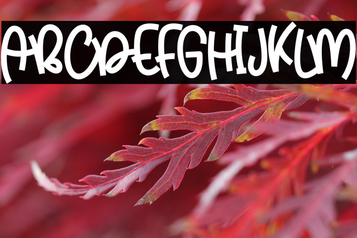 BeyondStarsRegular Example 1