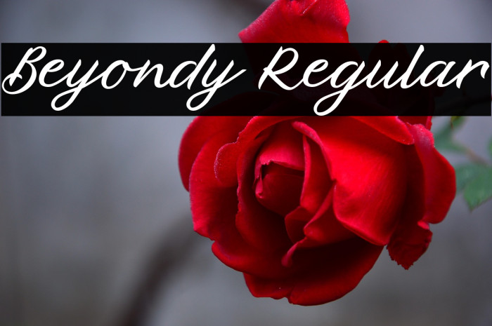 Beyondy Regular Example 2