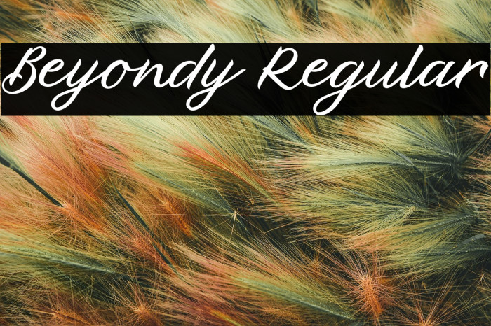Beyondy Regular Example 3