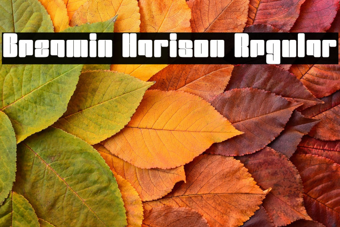 Bezamin Harison Regular Example 2