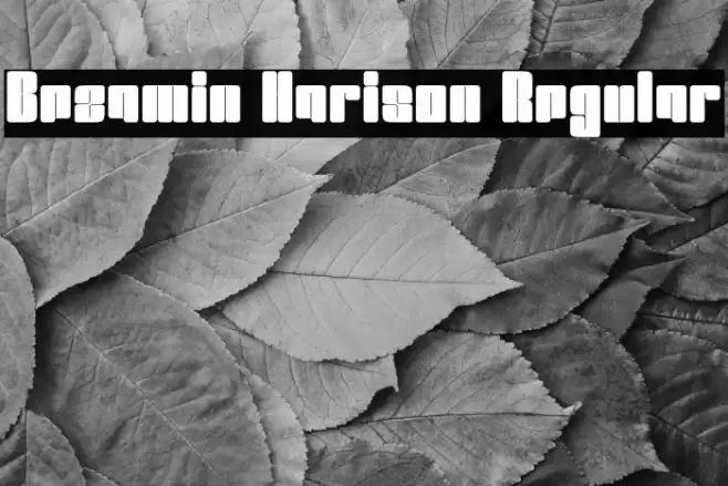 Bezamin Harison Regular Font examples