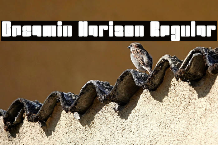 Bezamin Harison Regular Example 3