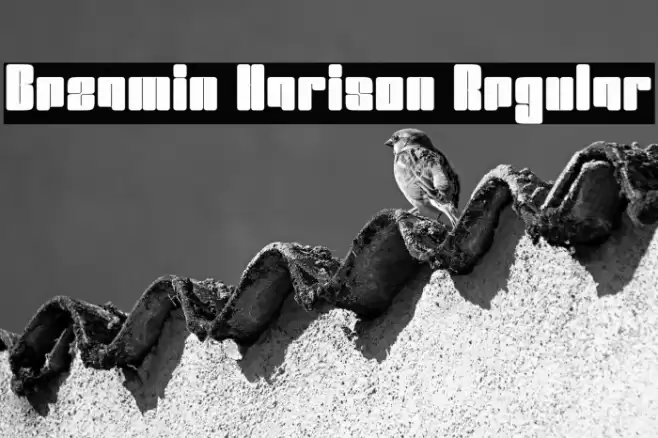 Bezamin Harison Regular Font examples