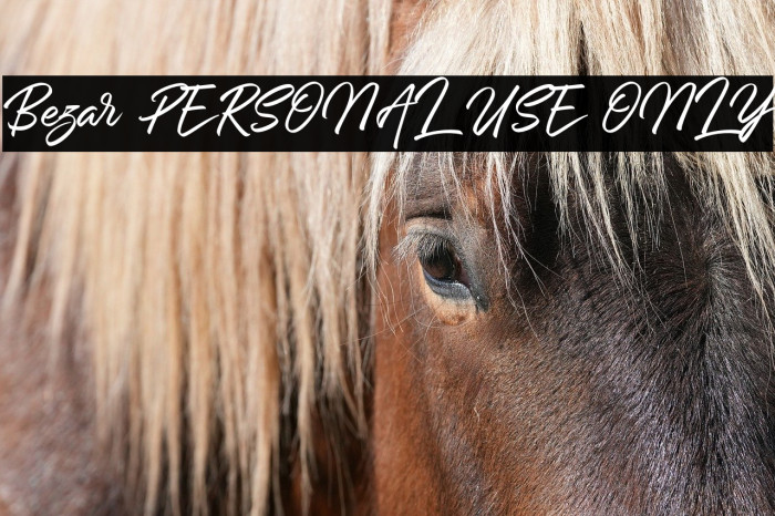 Bezar PERSONAL USE ONLY Example 2