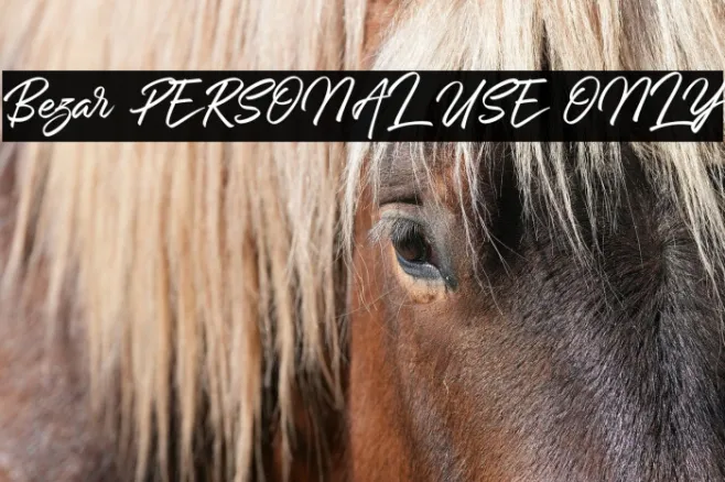 Bezar PERSONAL USE ONLY Example 2