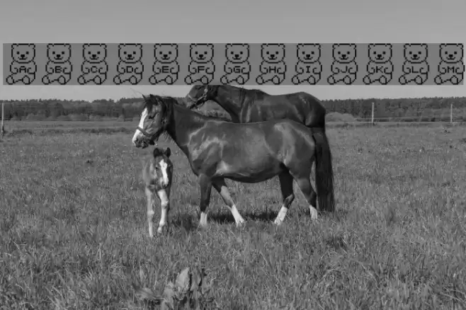 beaaaar Caratteri examples