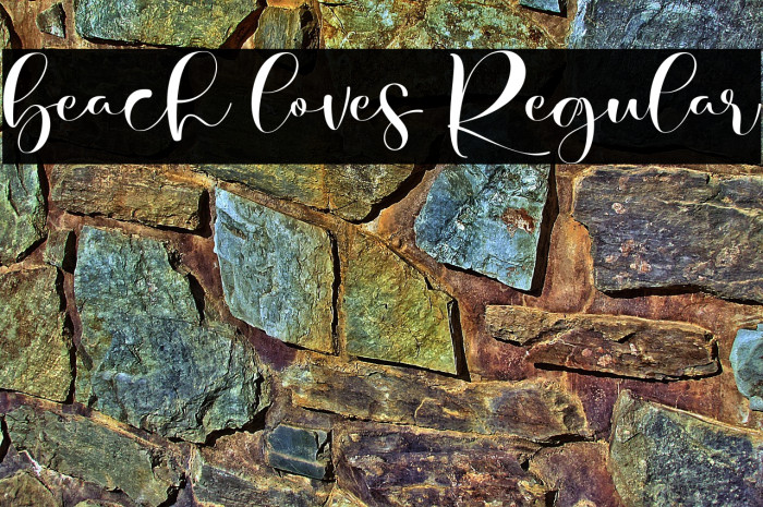 beach loves Regular Example 2