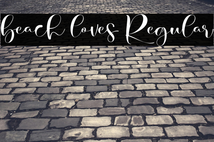 beach loves Regular Example 3