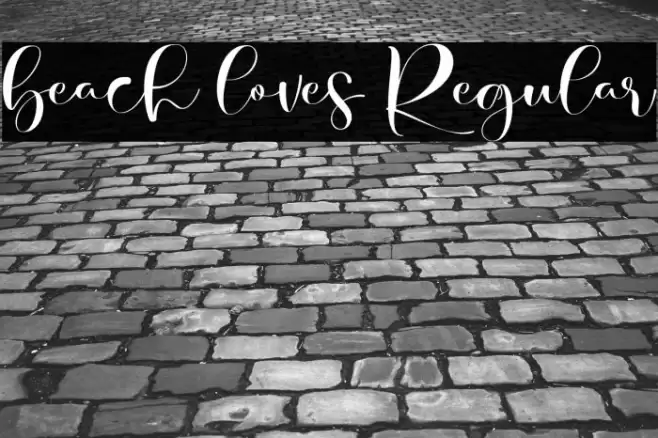 beach loves Regular Font examples