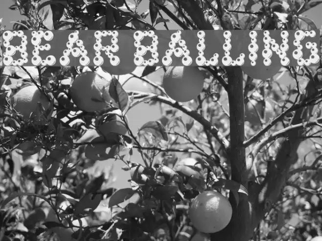 bear balling Font examples