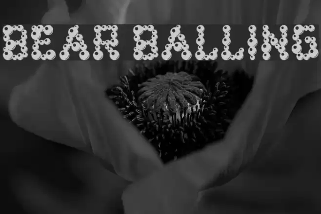 bear balling Font examples