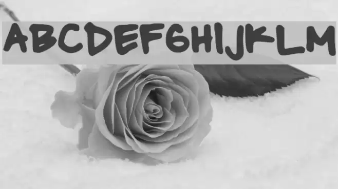 beasley Font examples