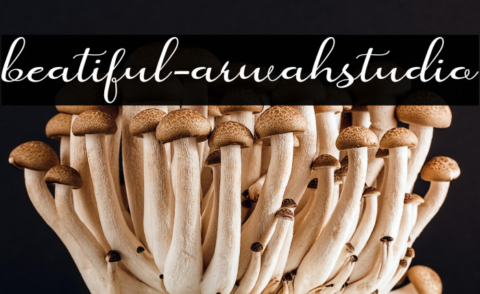 beatiful-arwahstudio Example 2