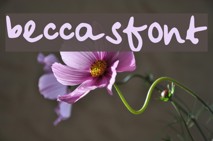 beccasfont Example 2