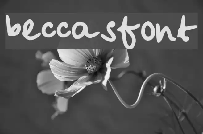 beccasfont Font examples