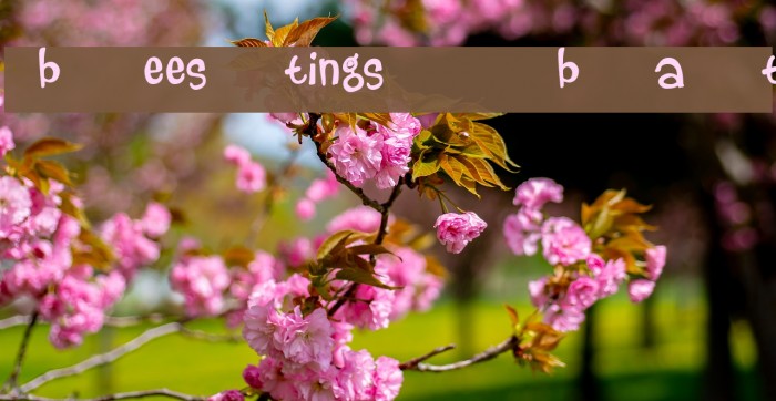 beestings bats Font examples