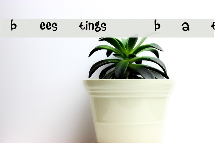 beestings bats Font examples